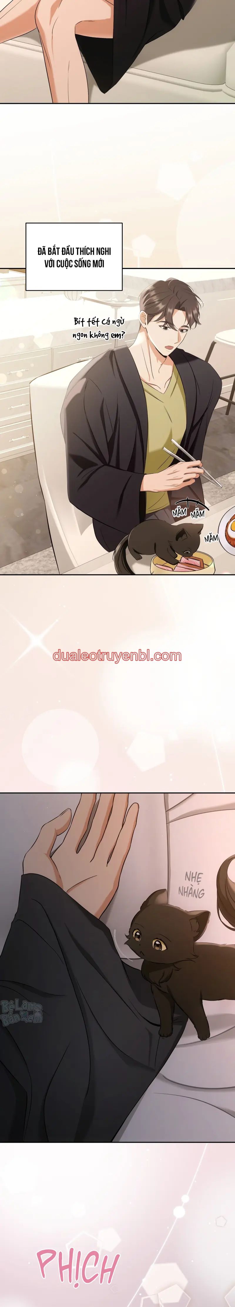 LIỆU PHÁP TRỊ LIỆU MÈO - Chapter 2_2 manhwa