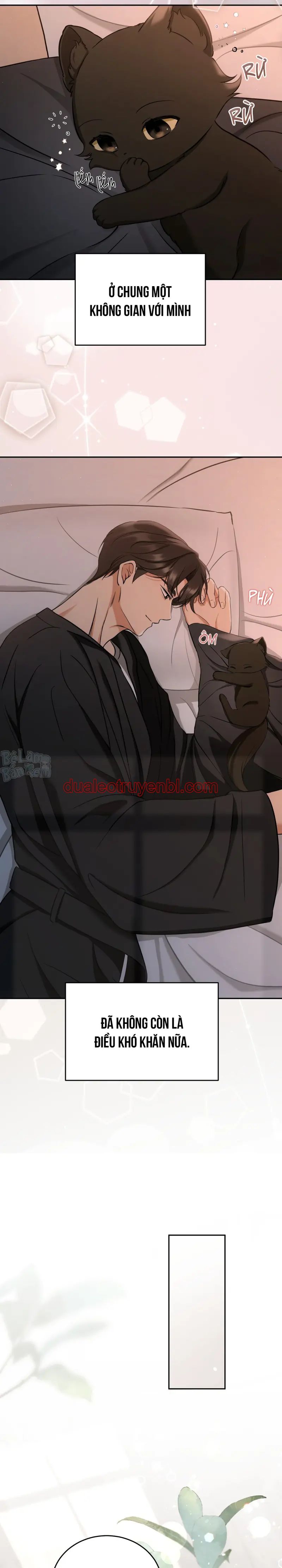 LIỆU PHÁP TRỊ LIỆU MÈO - Chapter 2_2 manhwa