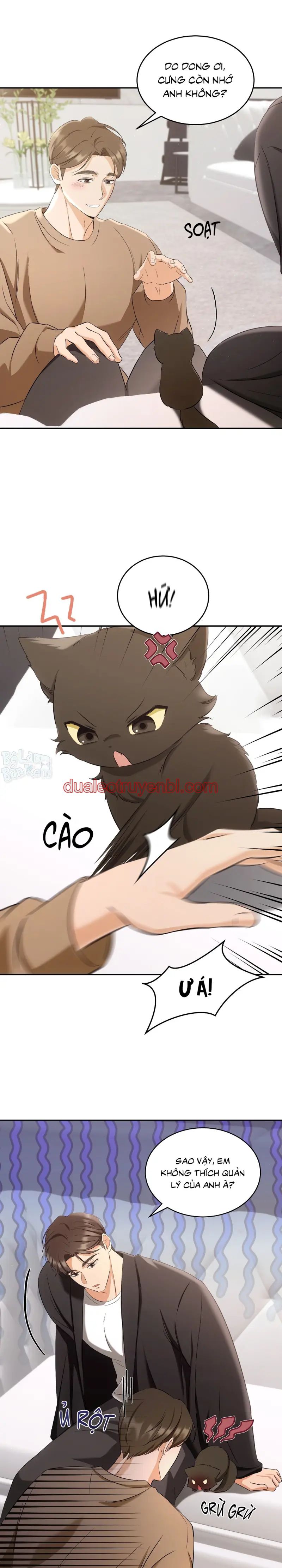 LIỆU PHÁP TRỊ LIỆU MÈO - Chapter 2_2 manhwa