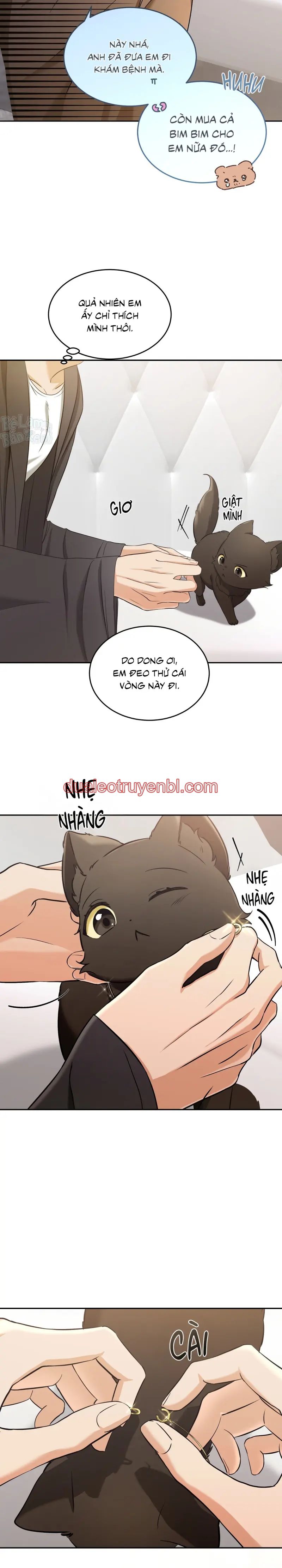 LIỆU PHÁP TRỊ LIỆU MÈO - Chapter 2_2 manhwa