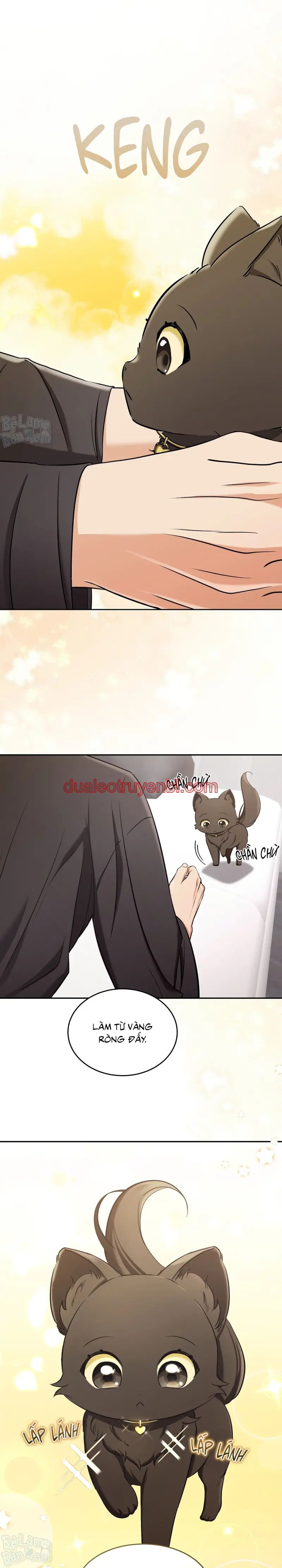 LIỆU PHÁP TRỊ LIỆU MÈO - Chapter 2_2 manhwa