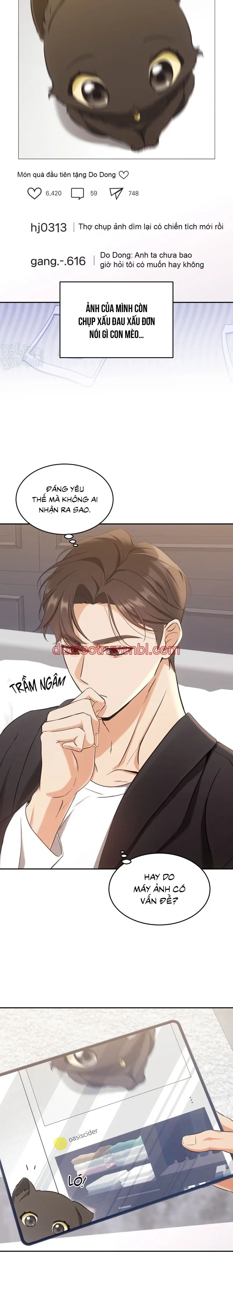 LIỆU PHÁP TRỊ LIỆU MÈO - Chapter 2_3 manhwa