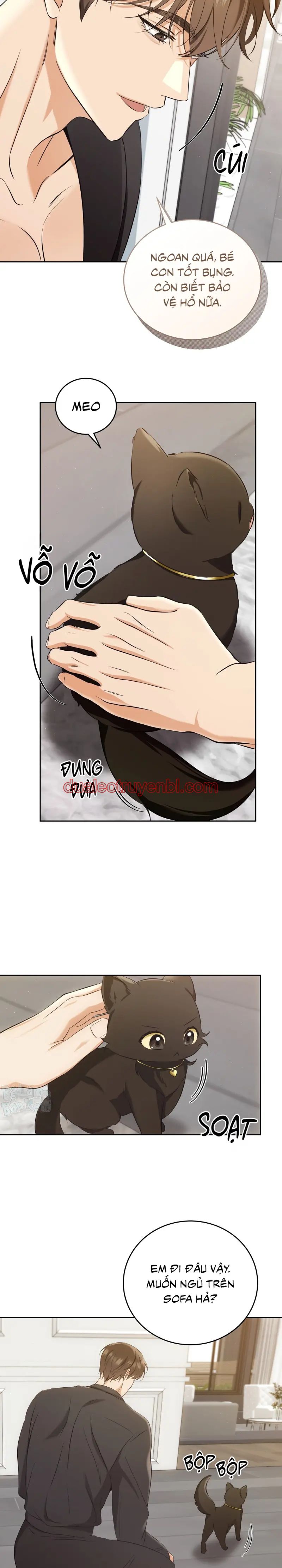 LIỆU PHÁP TRỊ LIỆU MÈO - Chapter 3 manhwa