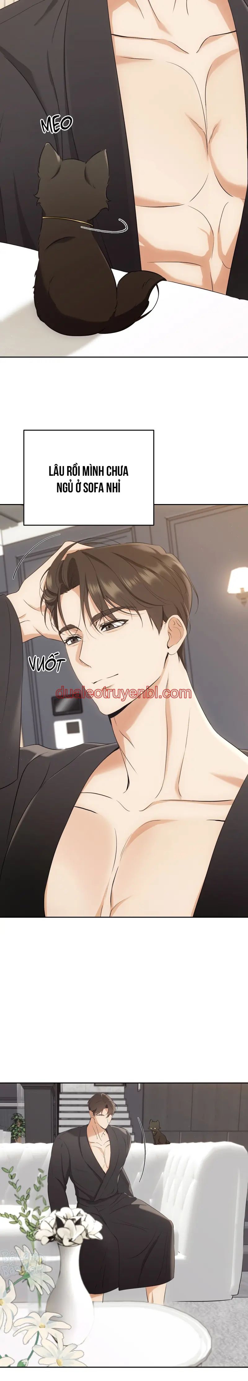 LIỆU PHÁP TRỊ LIỆU MÈO - Chapter 3 manhwa