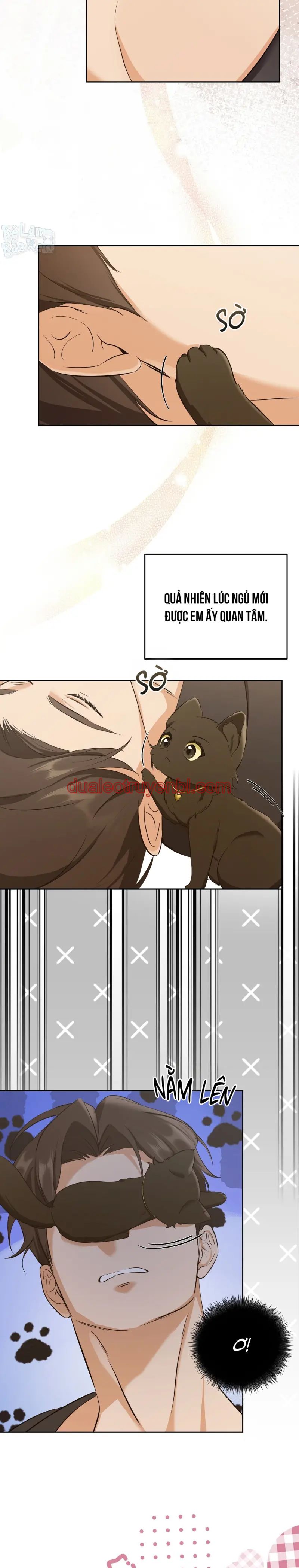 LIỆU PHÁP TRỊ LIỆU MÈO - Chapter 3 manhwa