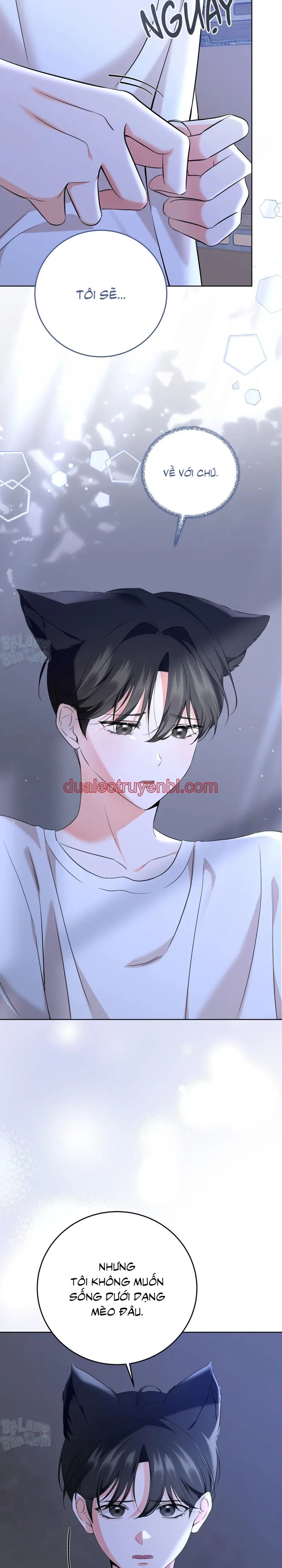 LIỆU PHÁP TRỊ LIỆU MÈO - Chapter 5 manhwa