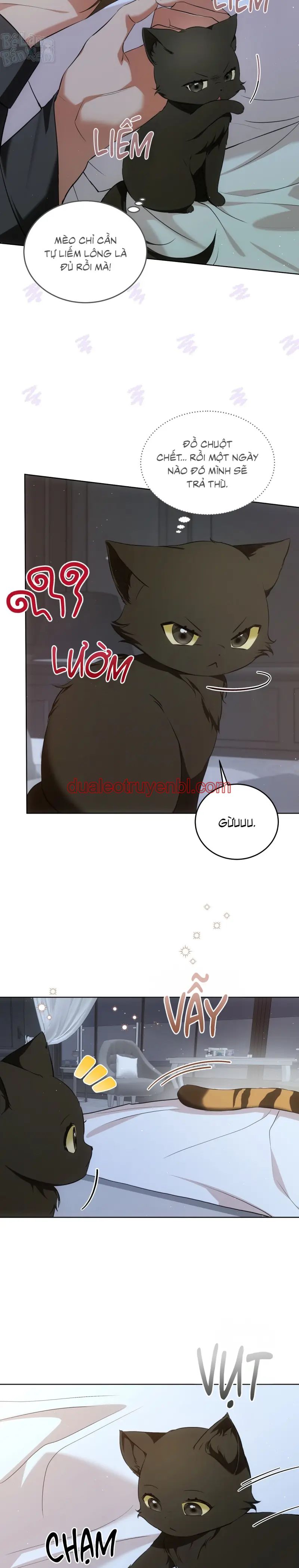 LIỆU PHÁP TRỊ LIỆU MÈO - Chapter 7 manhwa