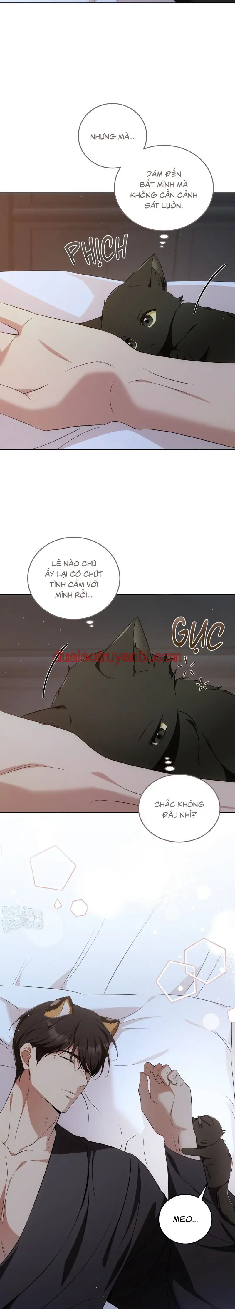 LIỆU PHÁP TRỊ LIỆU MÈO - Chapter 7 manhwa