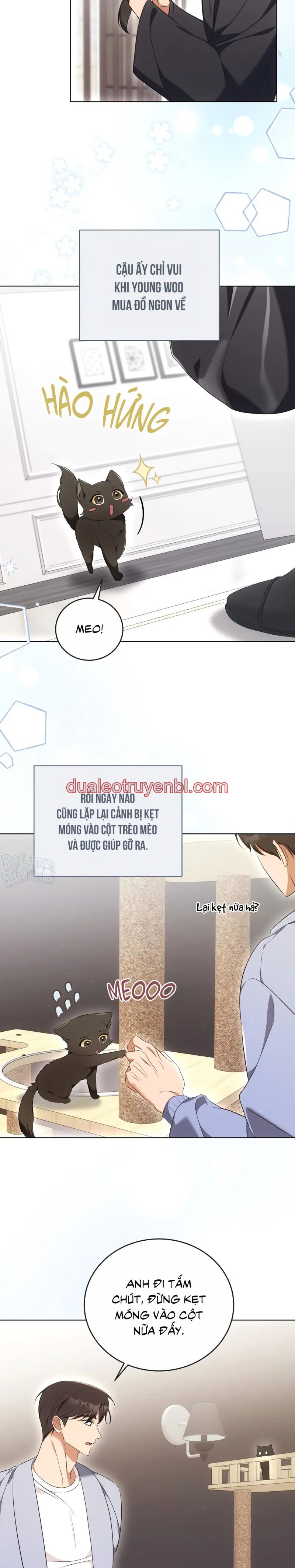 LIỆU PHÁP TRỊ LIỆU MÈO - Chapter 8 manhwa