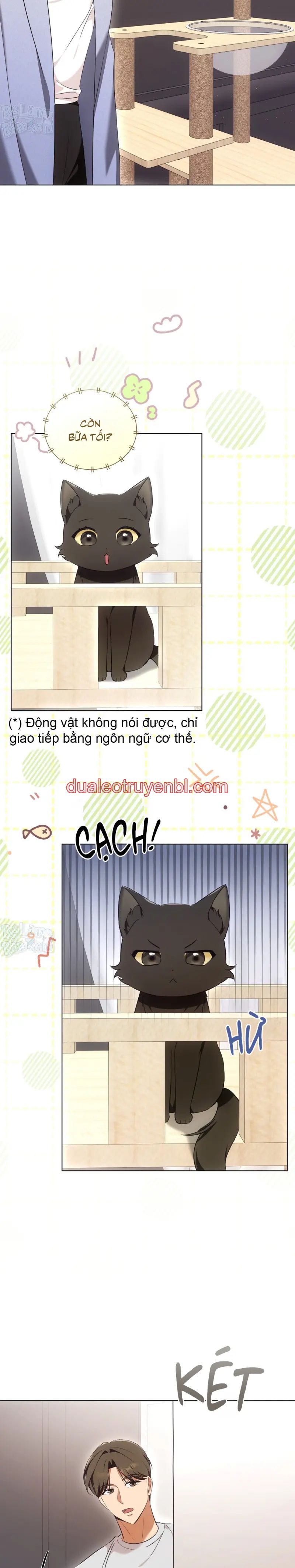 LIỆU PHÁP TRỊ LIỆU MÈO - Chapter 8 manhwa