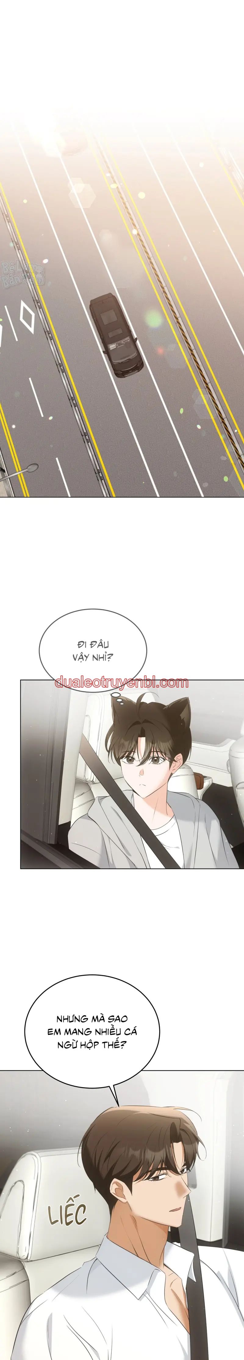 LIỆU PHÁP TRỊ LIỆU MÈO - Chapter 9 manhwa