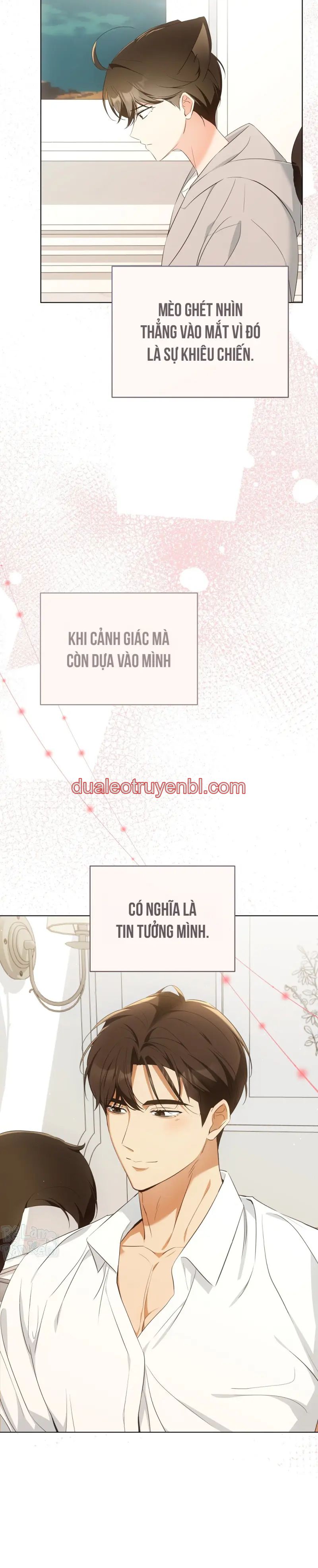 LIỆU PHÁP TRỊ LIỆU MÈO - Chapter 9_2 manhwa