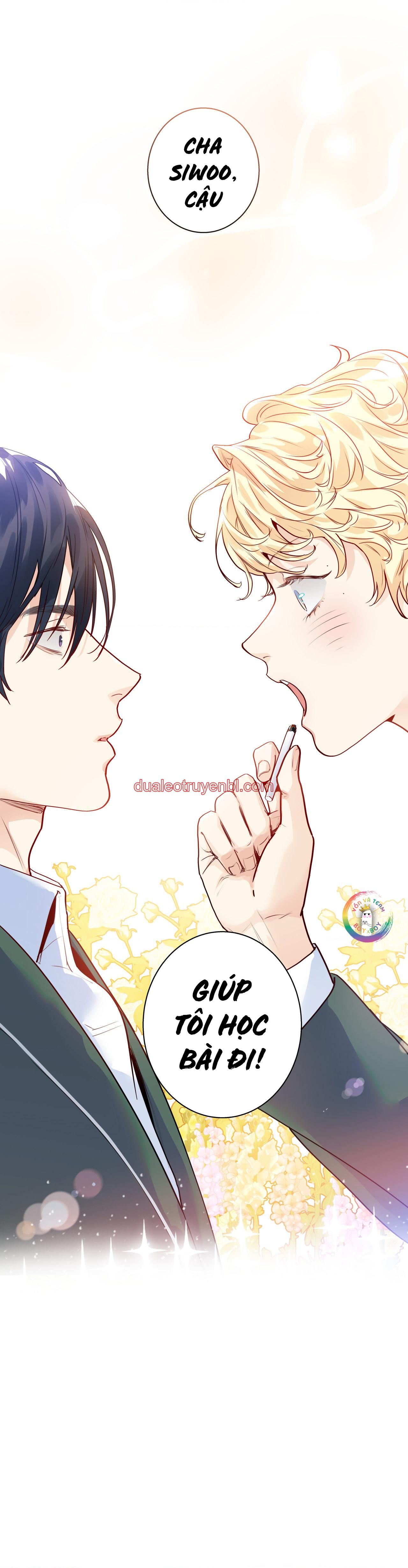 Love is an illusion! Superstar - Chapter 11 manhwa