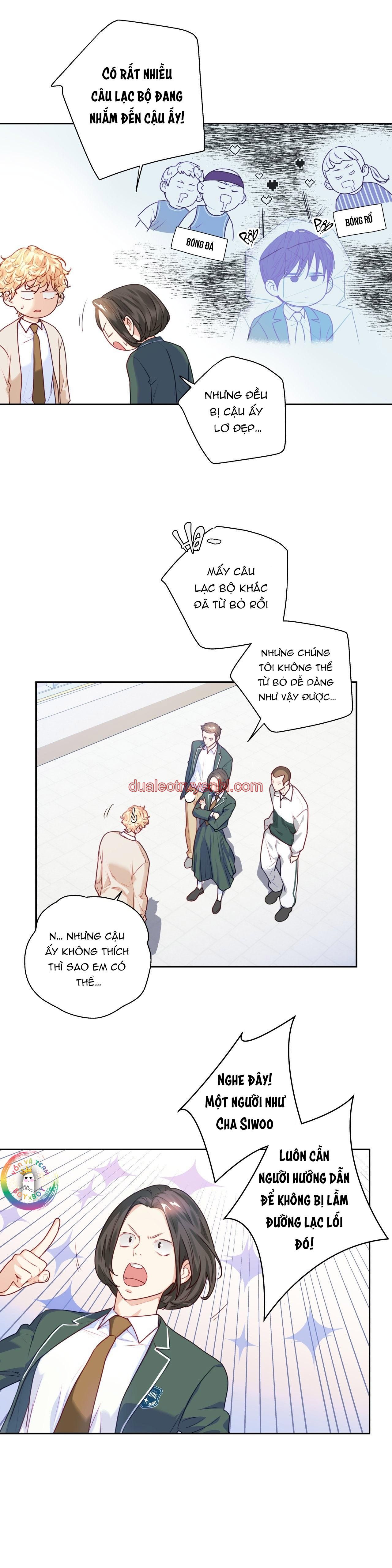 Love is an illusion! Superstar - Chapter 17 manhwa