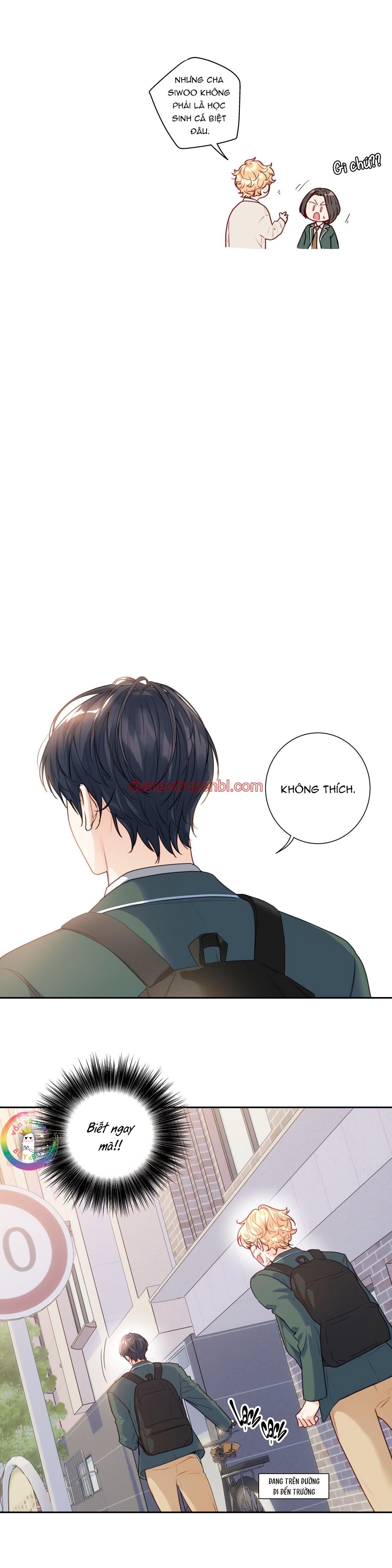 Love is an illusion! Superstar - Chapter 17_2 manhwa