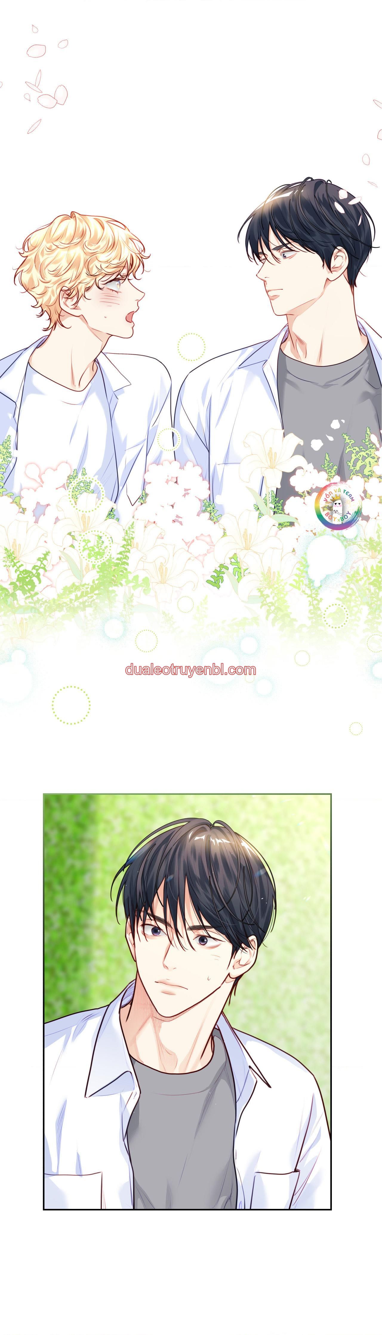Love is an illusion! Superstar - Chapter 20 manhwa