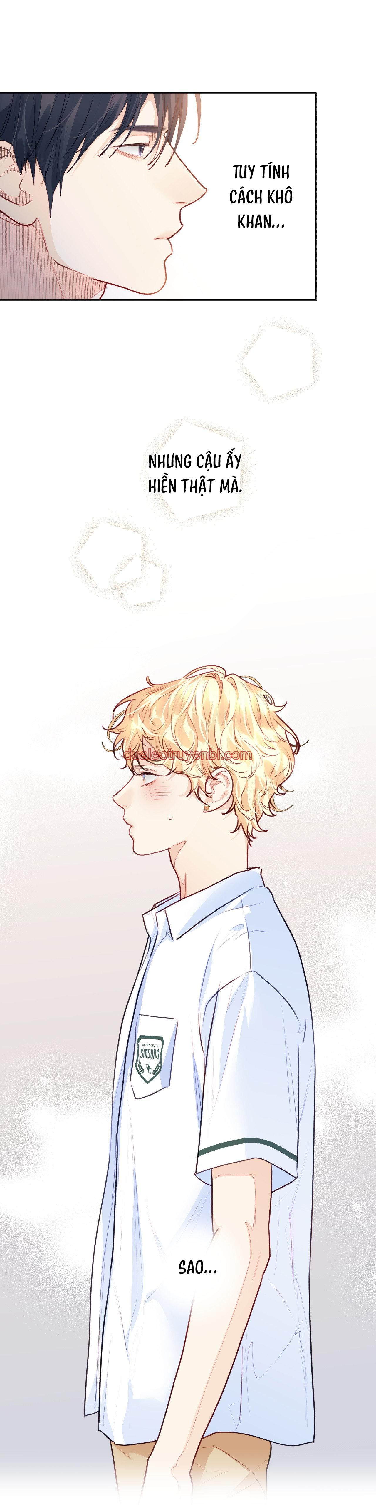 Love is an illusion! Superstar - Chapter 20_3 manhwa