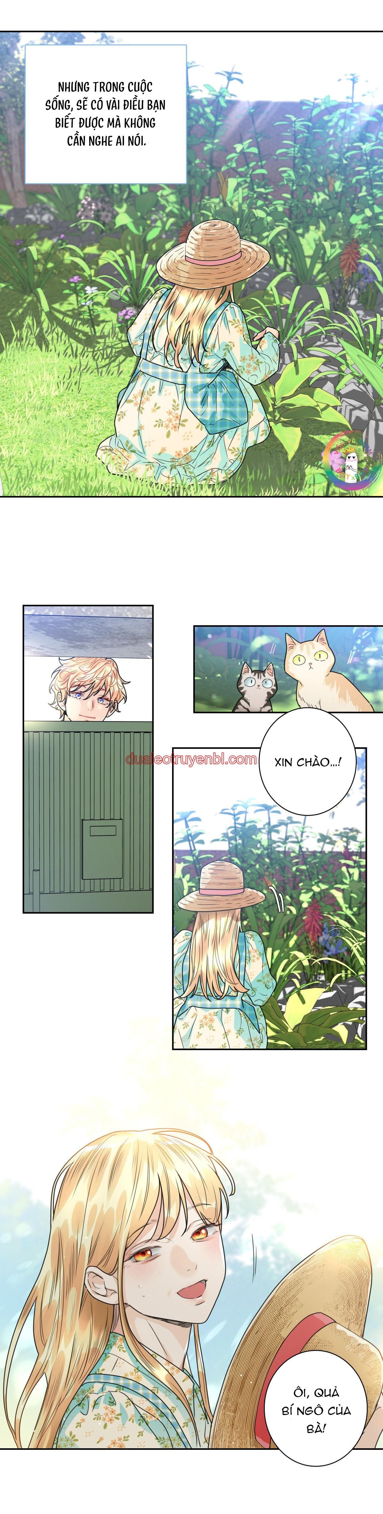 Love is an illusion! Superstar - Chapter 4_2 manhwa