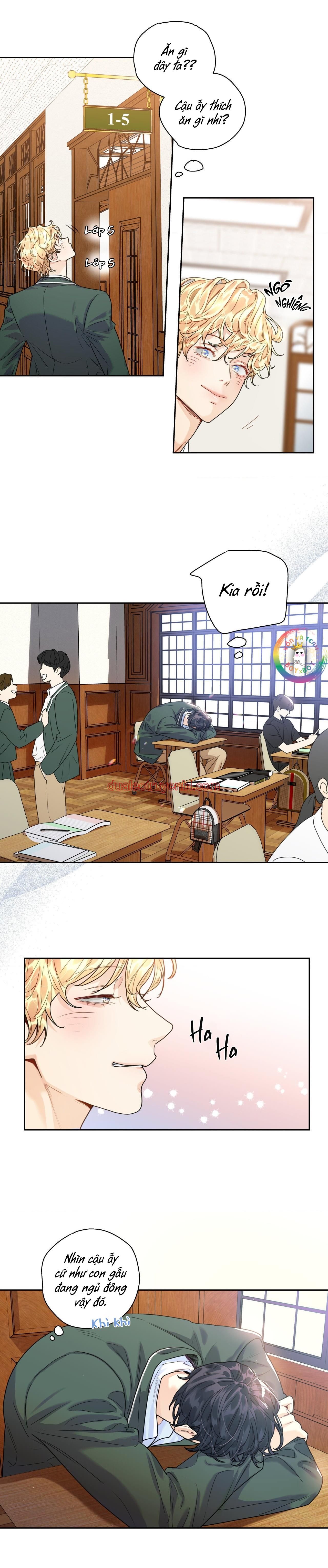 Love is an illusion! Superstar - Chapter 8 manhwa