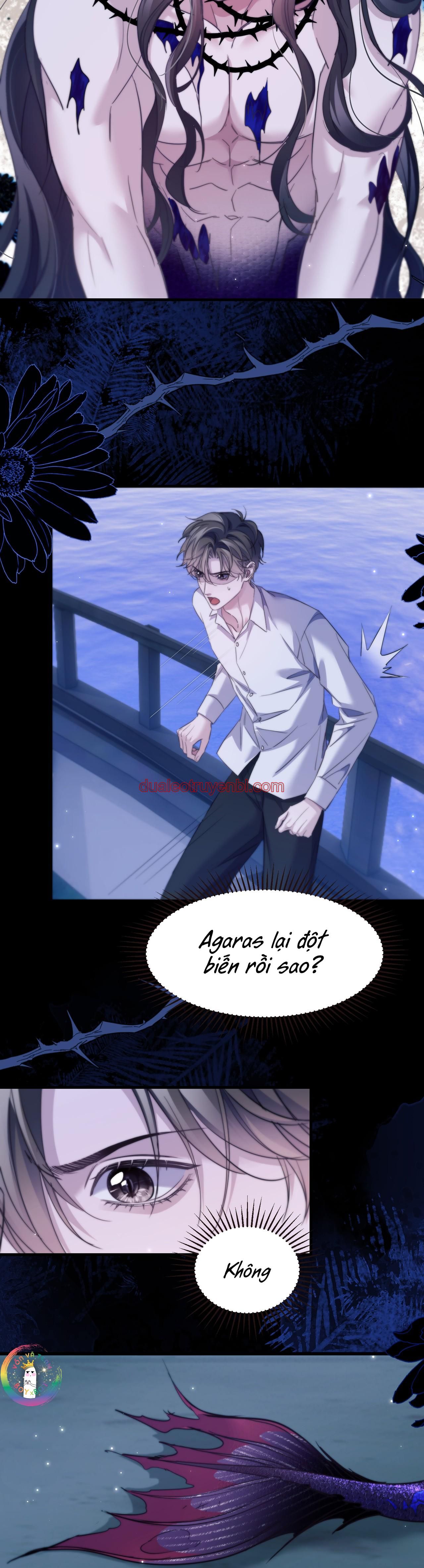 Nhân Ngư Desharow - Chapter 104_2 manhwa