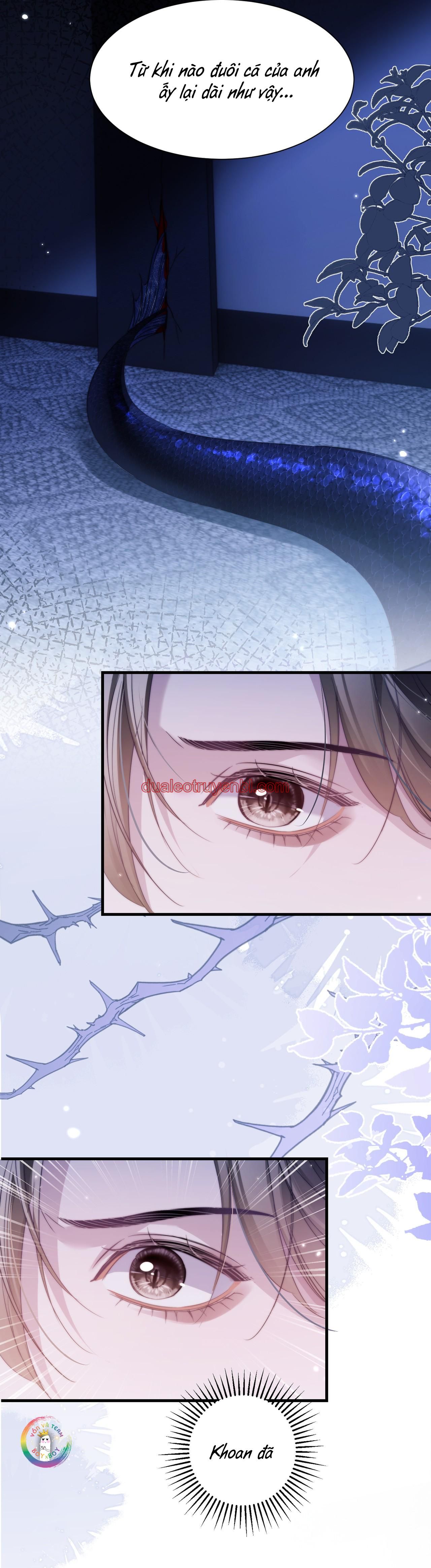 Nhân Ngư Desharow - Chapter 116 manhwa