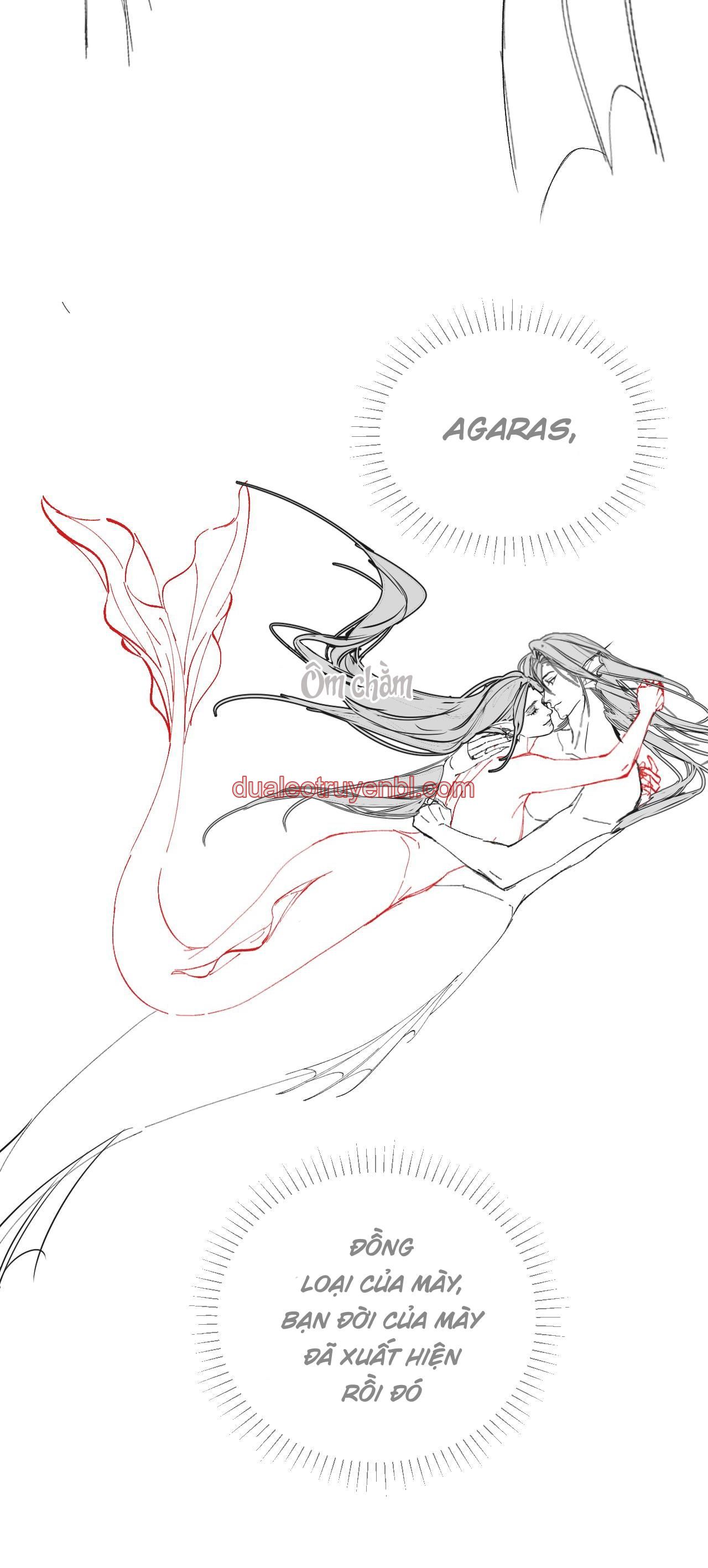 Nhân Ngư Desharow - Chapter 11_3 manhwa