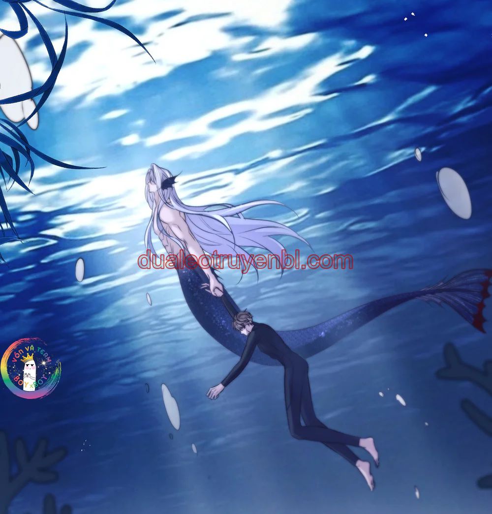 Nhân Ngư Desharow - Chapter 125_2 manhwa