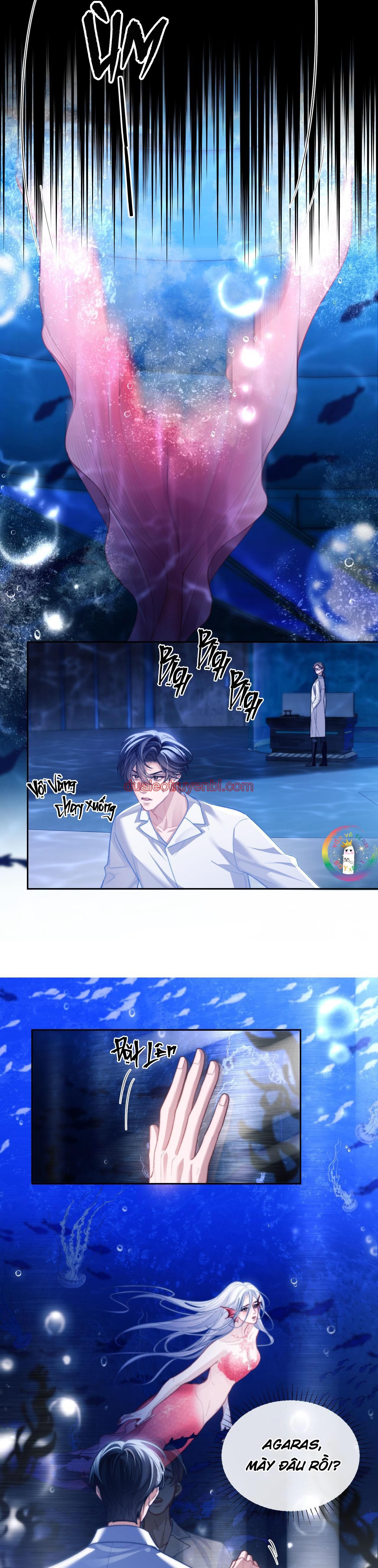 Nhân Ngư Desharow - Chapter 12_2 manhwa