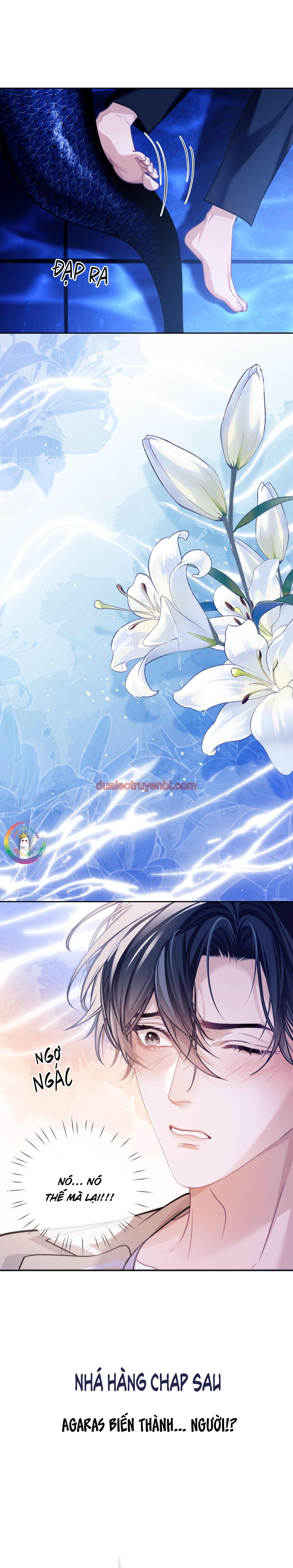 Nhân Ngư Desharow - Chapter 17_3 manhwa