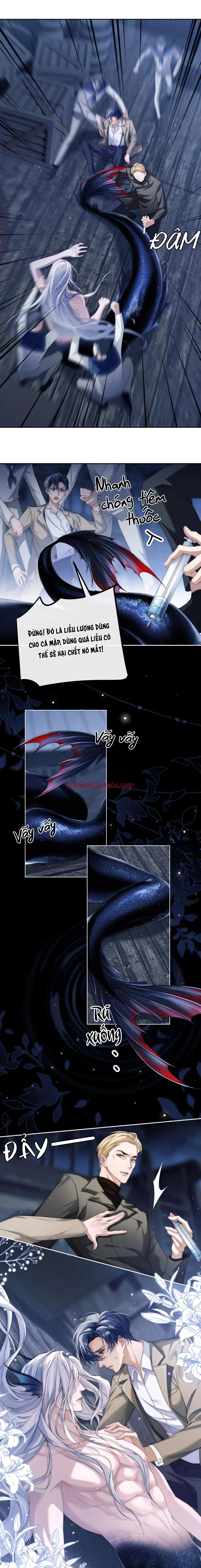 Nhân Ngư Desharow - Chapter 2 manhwa