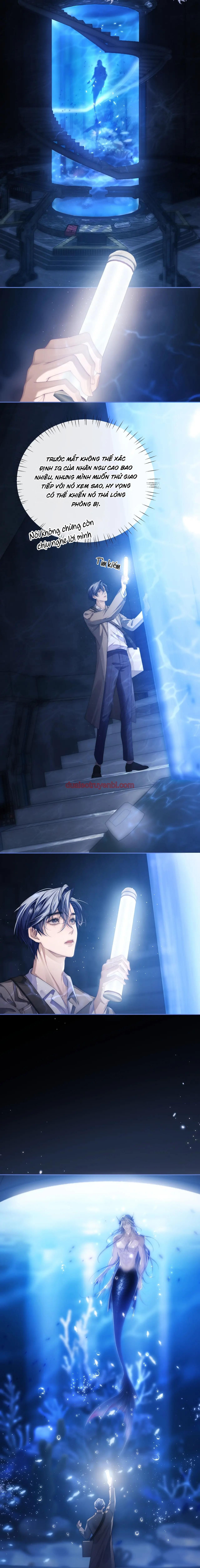 Nhân Ngư Desharow - Chapter 2_2 manhwa