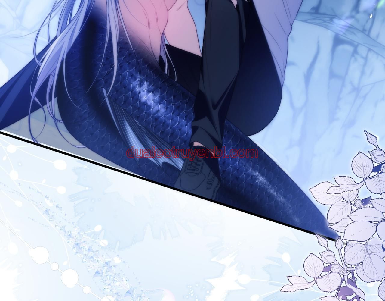 Nhân Ngư Desharow - Chapter 55_2 manhwa