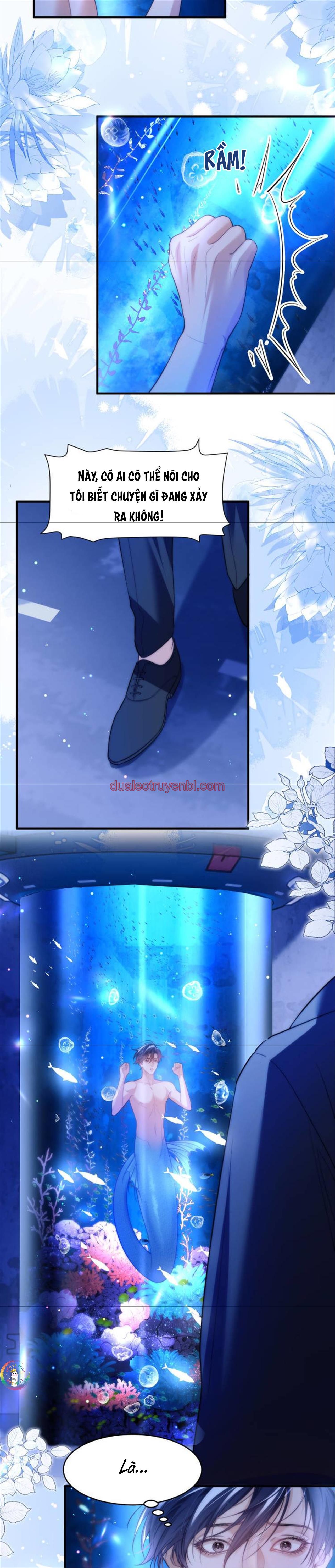 Nhân Ngư Desharow - Chapter 60 manhwa
