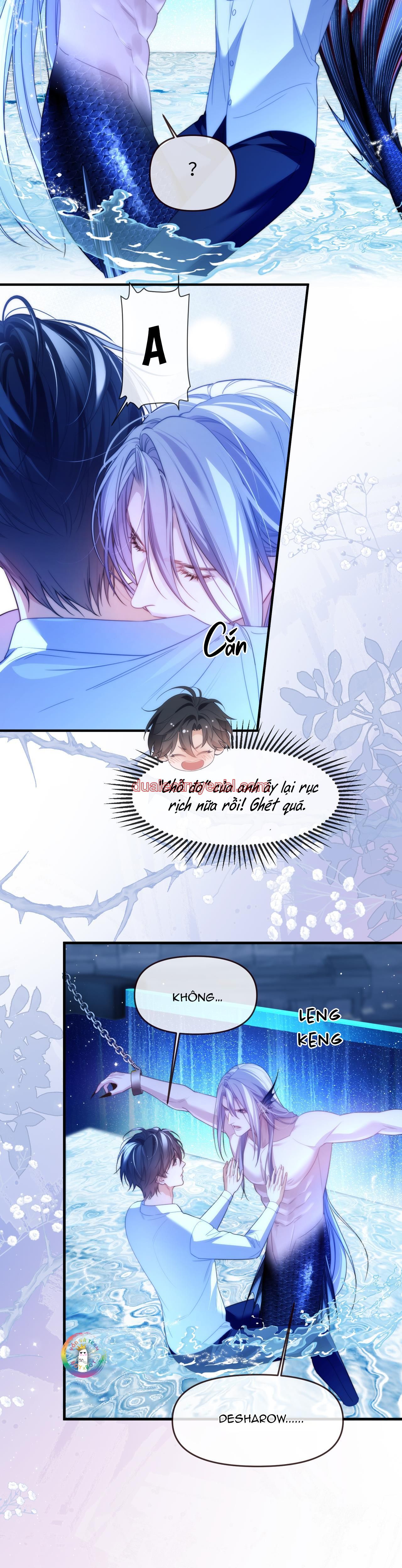 Nhân Ngư Desharow - Chapter 75 manhwa