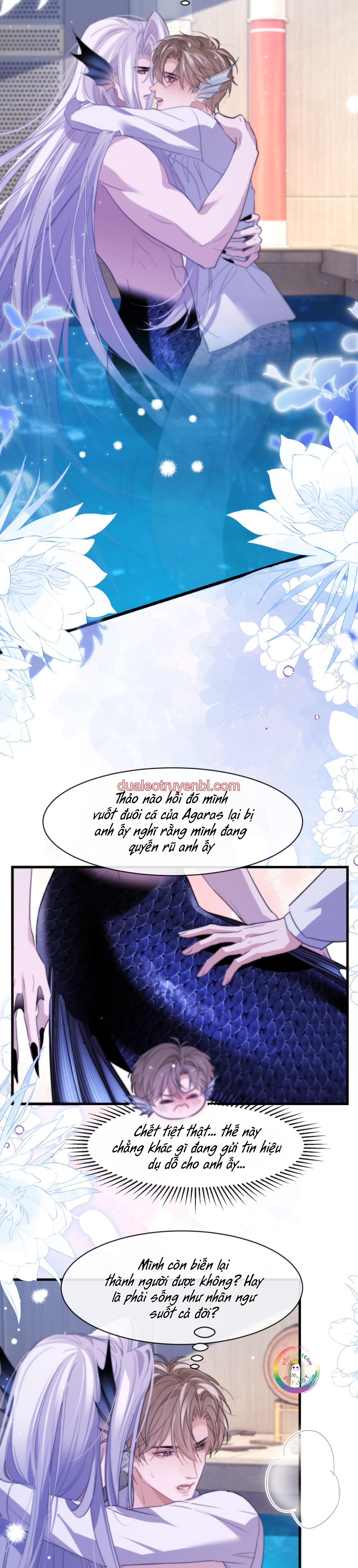 Nhân Ngư Desharow - Chapter 91 I love you too_2 manhwa