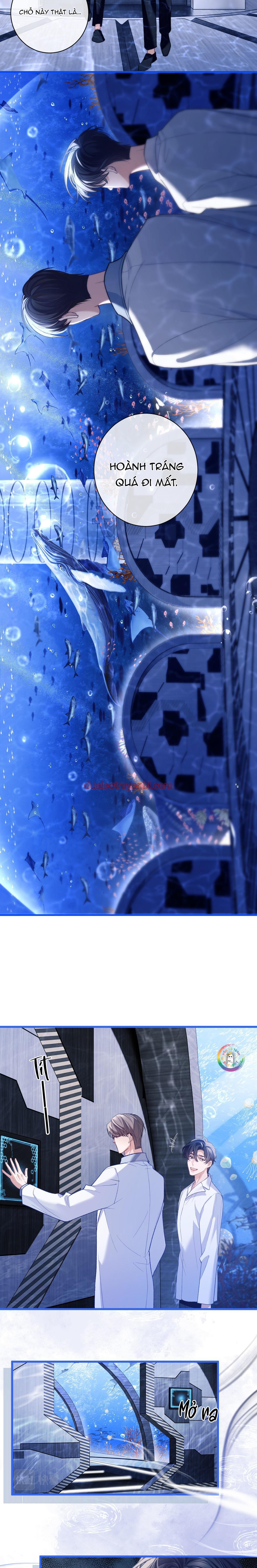 Nhân Ngư Desharow - Chapter 9_2 manhwa