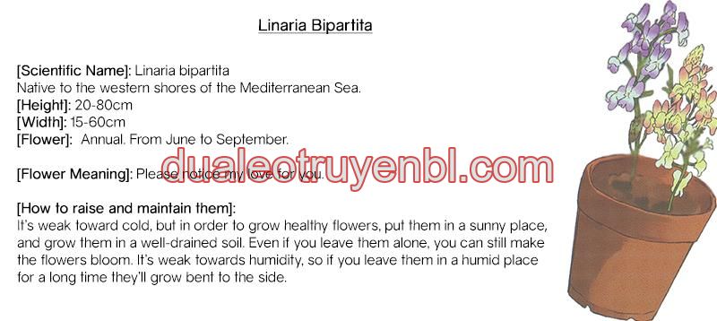 Series BL Manga - Chapter 20.2_3 manhwa