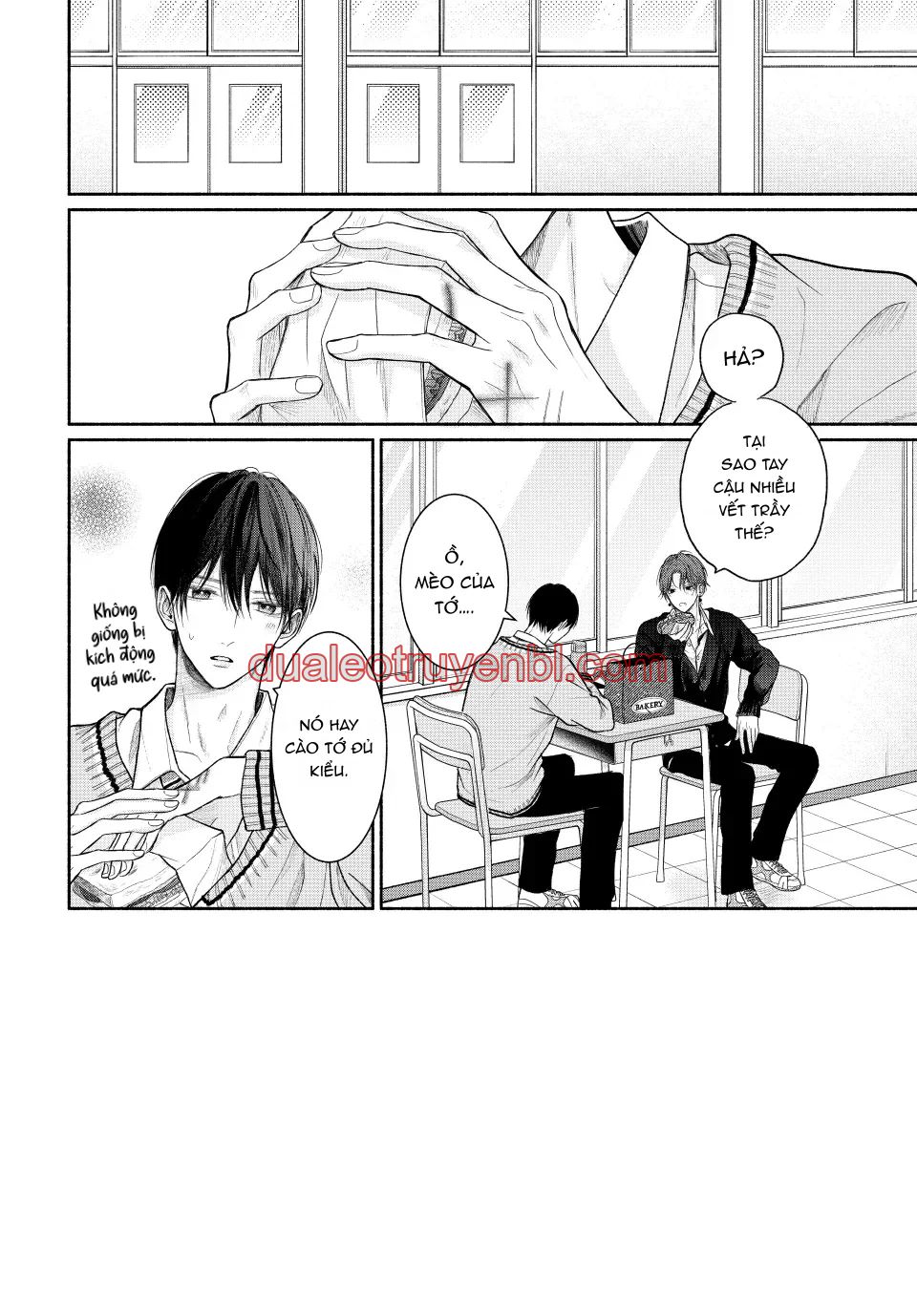 Tình Yêu Không Thể Giấu - Chapter 16 manhwa