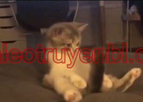 Tình Yêu Không Thể Giấu - Chapter 18_3 manhwa