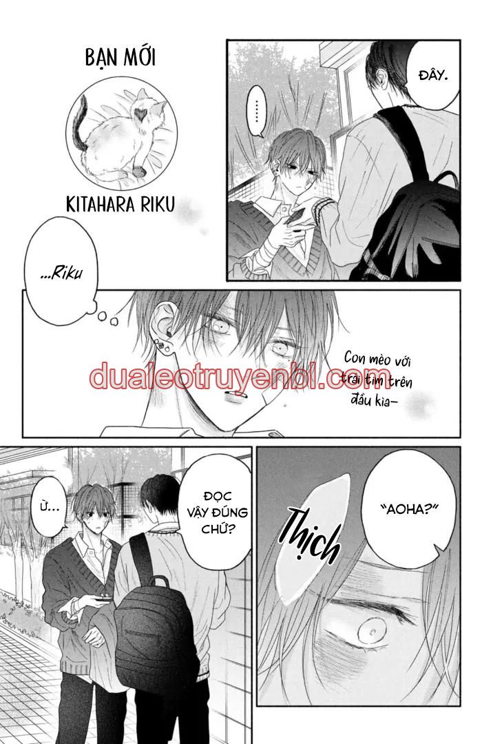 Tình Yêu Không Thể Giấu - Chapter 4 manhwa