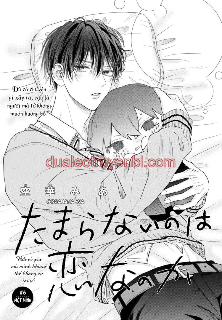 Tình Yêu Không Thể Giấu - Chapter 6 manhwa