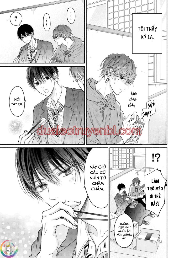 Tình Yêu Không Thể Giấu - Chapter 6 manhwa