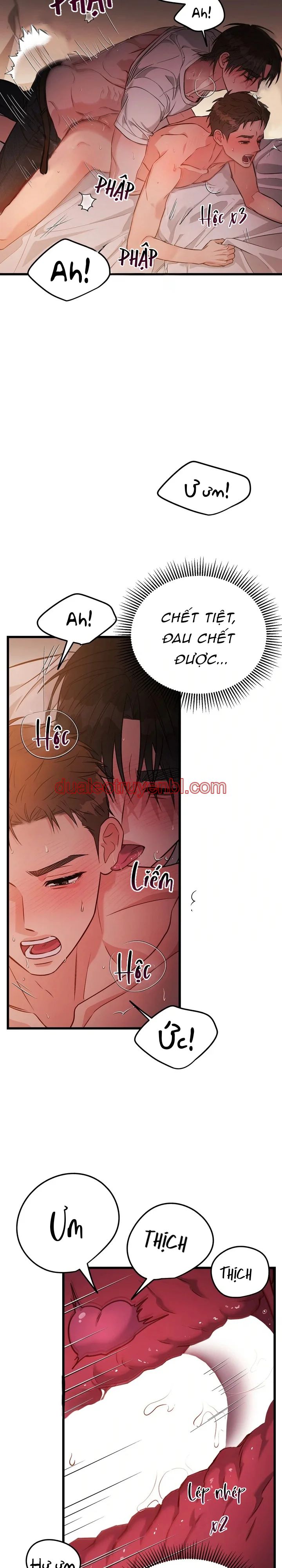 TUYỂN TẬP MANHWA NGẮN BÍ MẬT CƠ THỂ - Chapter 10 King Cobra - E manhwa