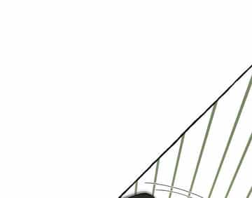 In the Doghouse - Chapter 38 manhwa