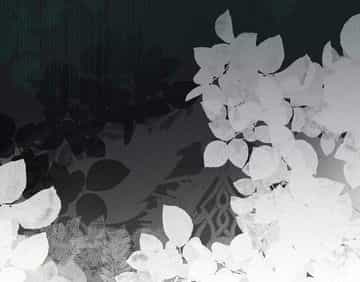In the Doghouse - Chapter 36 manhwa