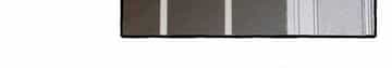 In the Doghouse - Chapter 37 manhwa